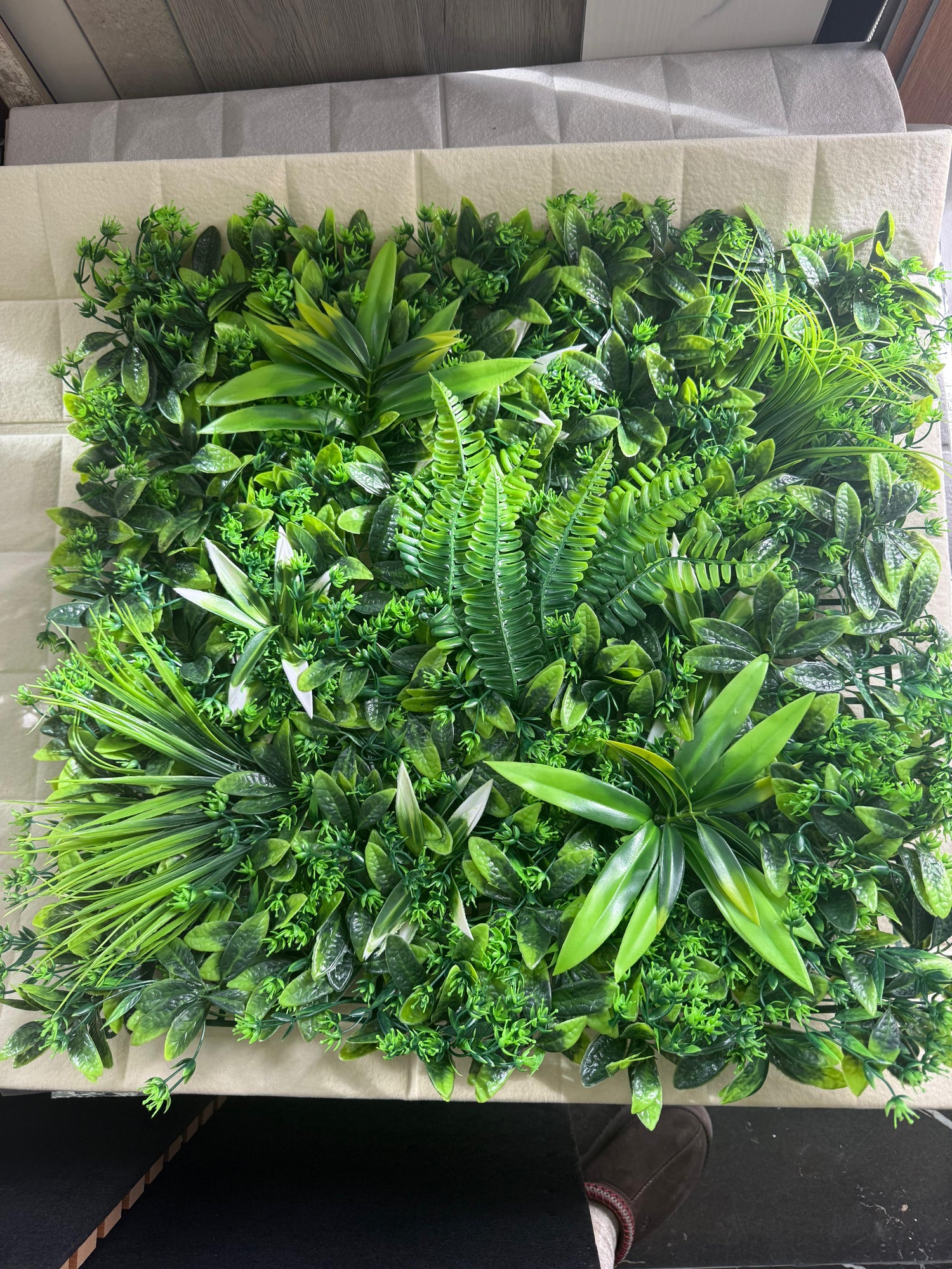 Panouri vegetale perete